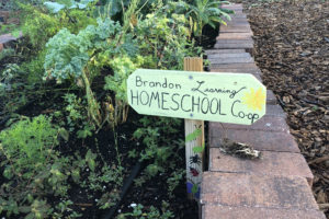 community, garden, community garden, plants, herbs, veggies, vegetables, seeds, gardening, kids, children, homeschool, coop, school, homeschooling, home education, education, unschool, unschooling, charity, volunteer, learn, learning, growing, planting