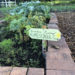 community, garden, community garden, plants, herbs, veggies, vegetables, seeds, gardening, kids, children, homeschool, coop, school, homeschooling, home education, education, unschool, unschooling, charity, volunteer, learn, learning, growing, planting