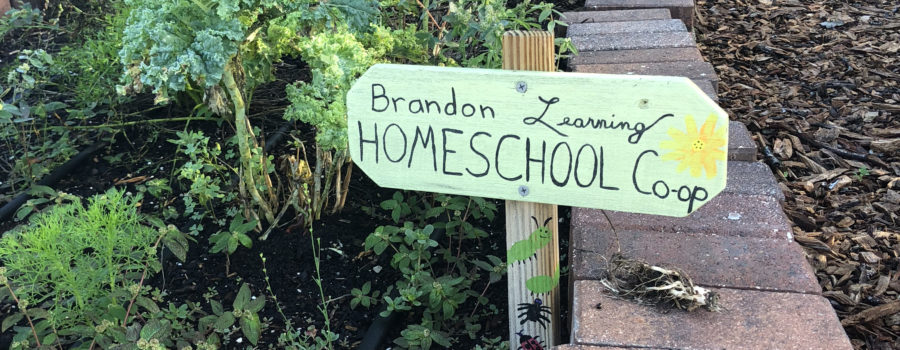 community, garden, community garden, plants, herbs, veggies, vegetables, seeds, gardening, kids, children, homeschool, coop, school, homeschooling, home education, education, unschool, unschooling, charity, volunteer, learn, learning, growing, planting