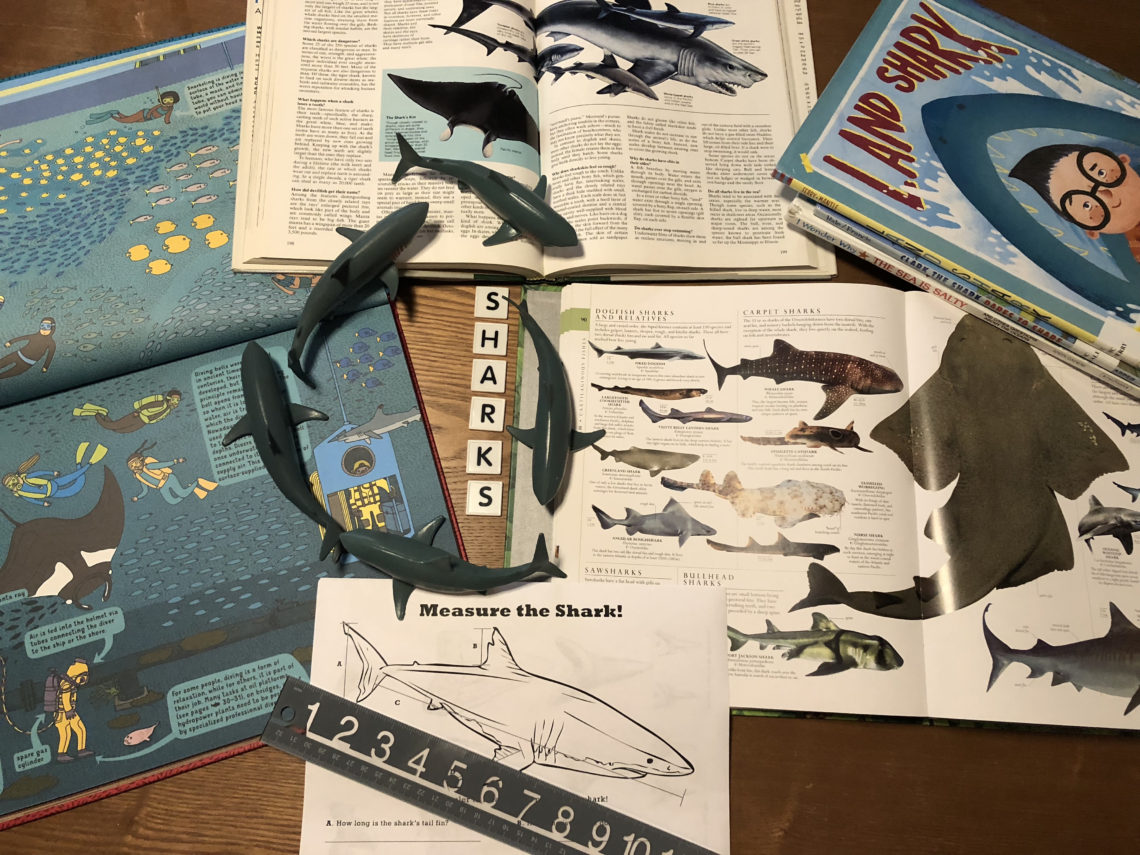 sharks, measure, learning resources, learn, kids, children, count, identify, indentification, sort, category, categorize, ocean, sea, water, from water, numbers, counting, collection, stem, steam, unit study, nature study, vintage book, book, kids book, homeschool, homeschooling, education, home education, educational,