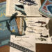 sharks, measure, learning resources, learn, kids, children, count, identify, indentification, sort, category, categorize, ocean, sea, water, from water, numbers, counting, collection, stem, steam, unit study, nature study, vintage book, book, kids book, homeschool, homeschooling, education, home education, educational,