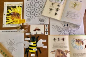 homeschool, school, nature, home education, education, educational, honeybee, bee, lesson, learn, learning, unit study, mini-lesson, felt, diagram, anatomy, animals, insects, books, vintage books, safari ltd, models, life cycle, printables, beehive, books, vintage books, learning resources, resource, painting, packet,