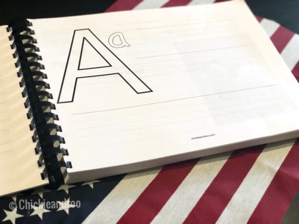 Steam States-Full Year Curriculum - Image 5