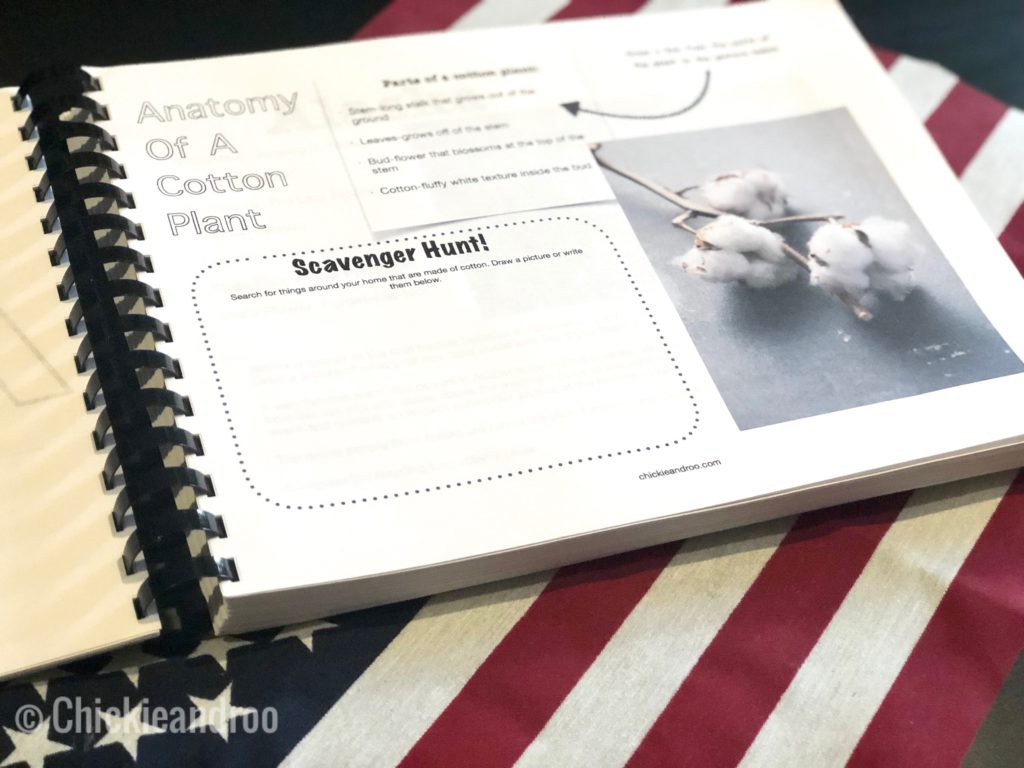 Steam States Curriculum-learn one state per week through hands on