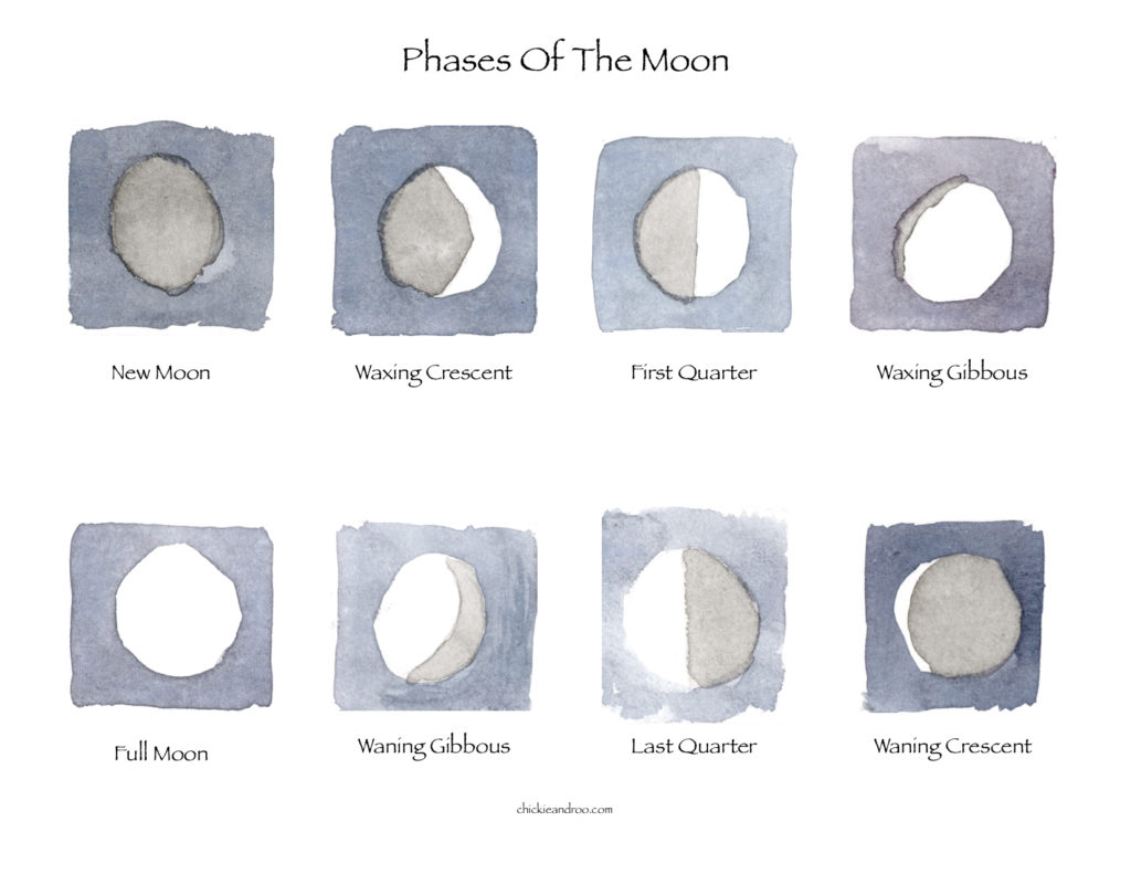 Moon Phases Poster + Flashcards - Chickie & Roo Homeschool