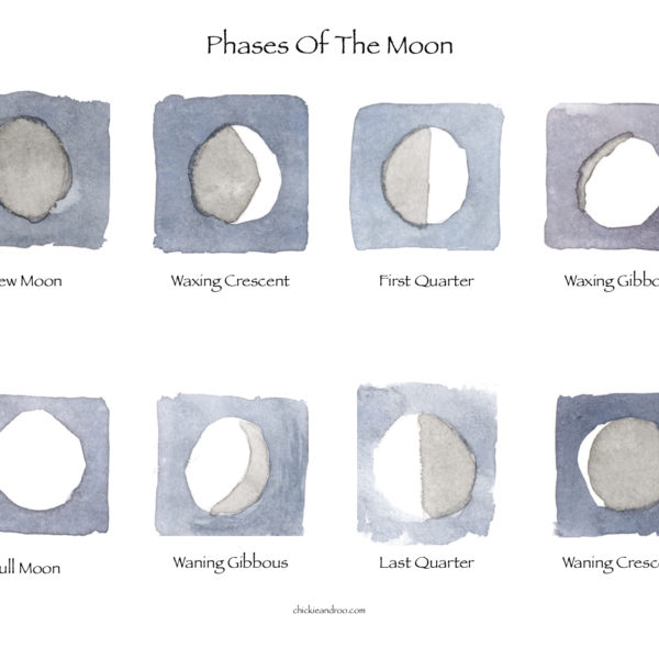 Moon Phases Poster + Flashcards