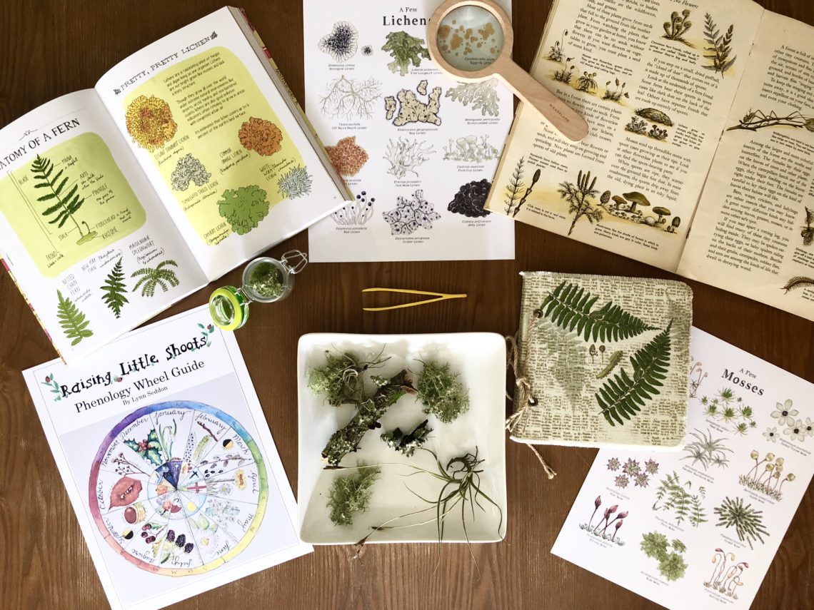 Natural science journal. Nature study. Nature study subject. Nature study или Science. Nature study перевод.