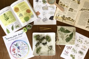 100 Must-Have Nature Study Resources For Homeschooling Nature-Lovers