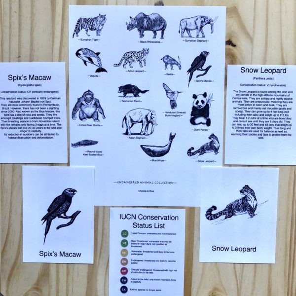 Endangered Animal Bundle