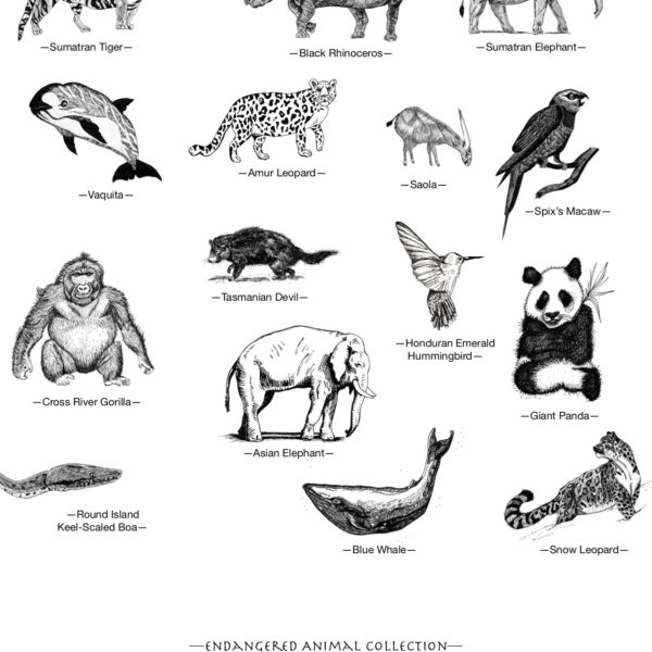 Endangered Animals Collection Poster