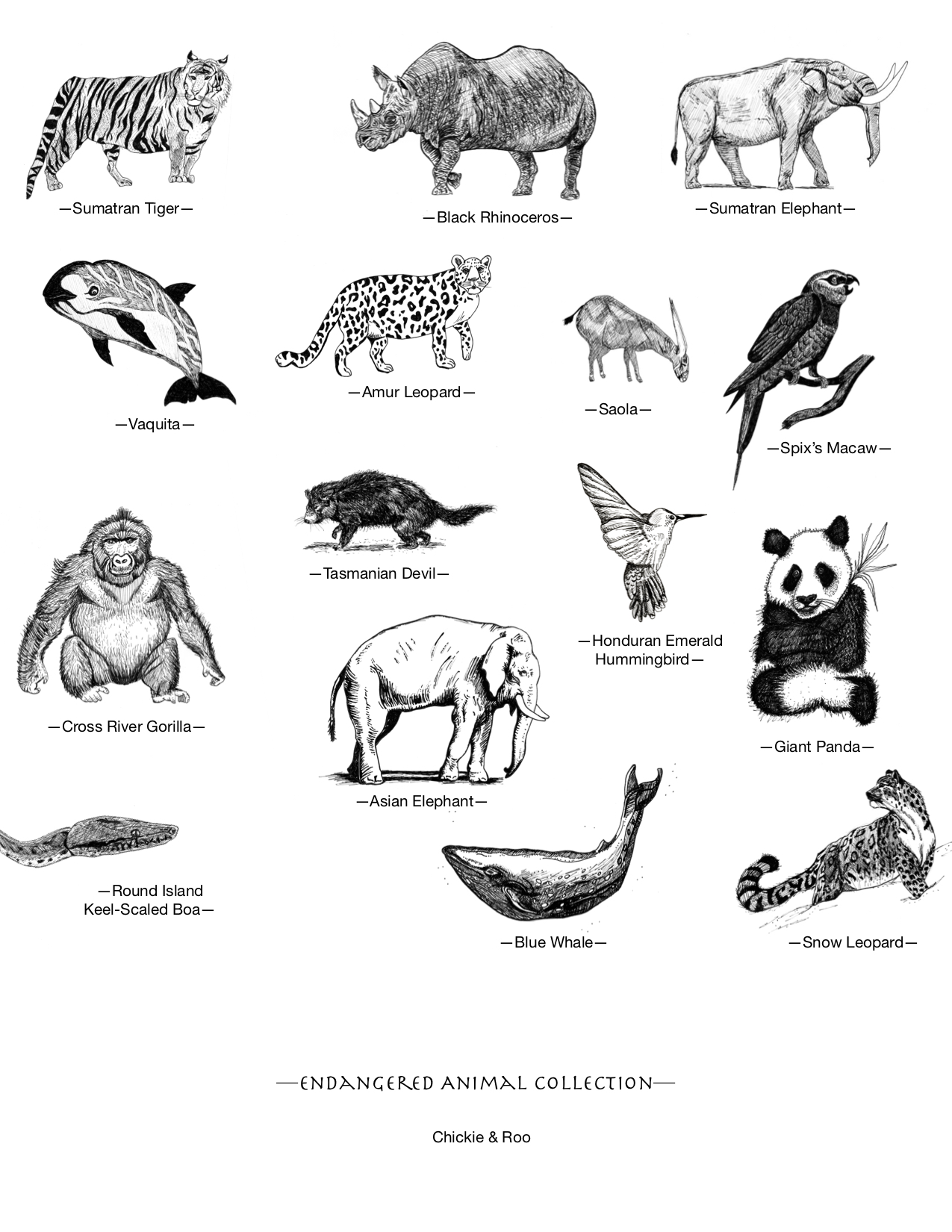 Endangered Animals Collection Poster - Chickie & Roo Homeschool Endangered Animals Collection Poster - Chickie & Roo Homeschool