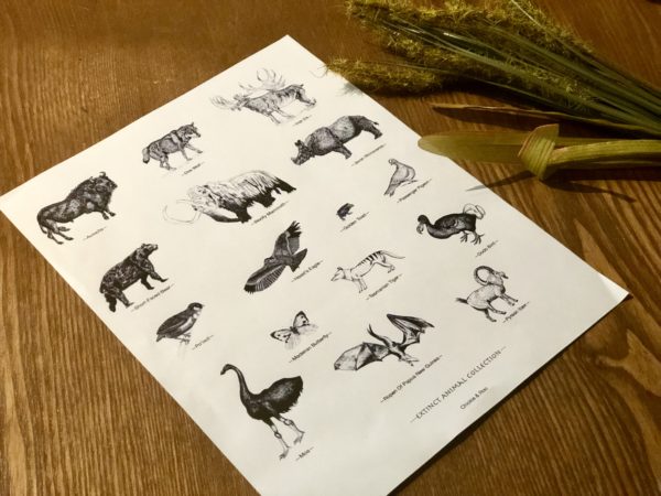 extinct, animals, education, art, print, digital, printable, artwork, illustration, drawing,
