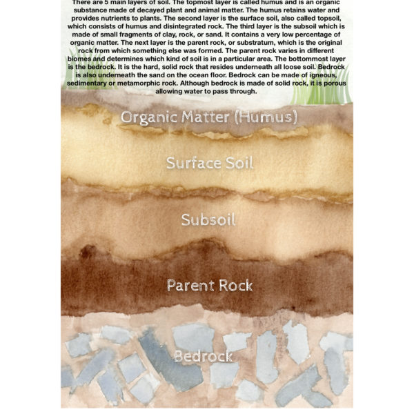Layers Of The Soil-Nature Poster
