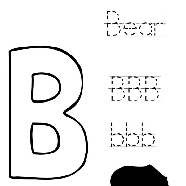Black Bear Mini Unit