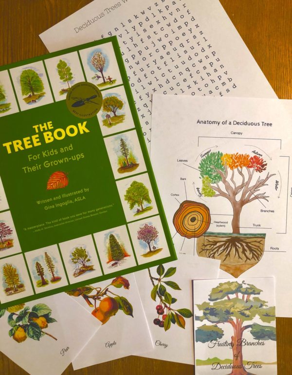 Prep Pack: Deciduous Trees