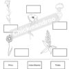 Texas Nature Guide - Image 5