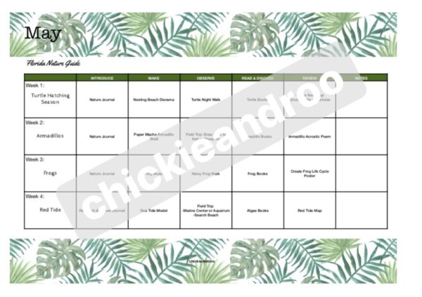 Florida Nature Guide - Image 2