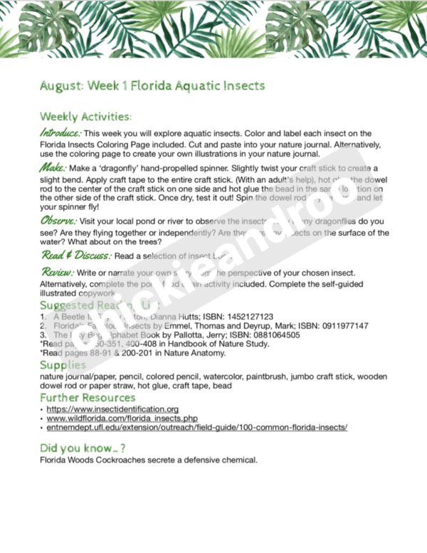 Florida Nature Guide - Image 3