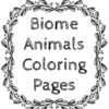 Biomes Coloring Book