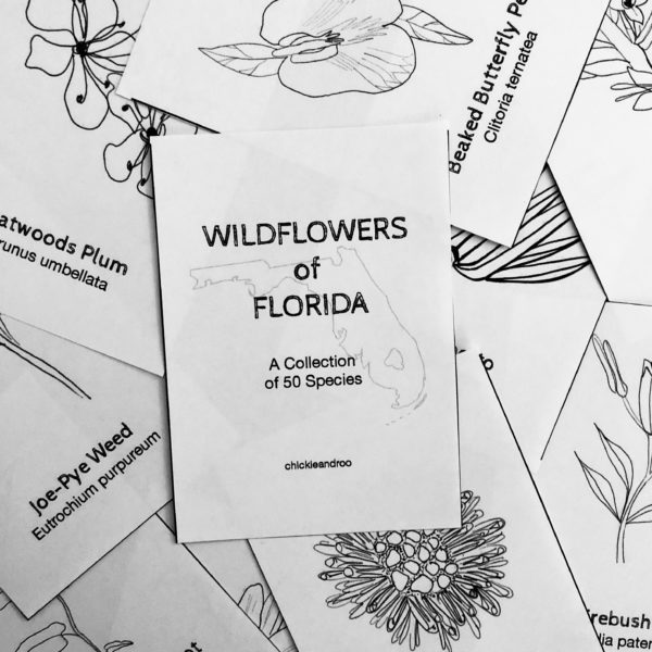 Florida Wildflowers: A Collection of 50 Cards