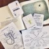 Prep Pack: Spiders