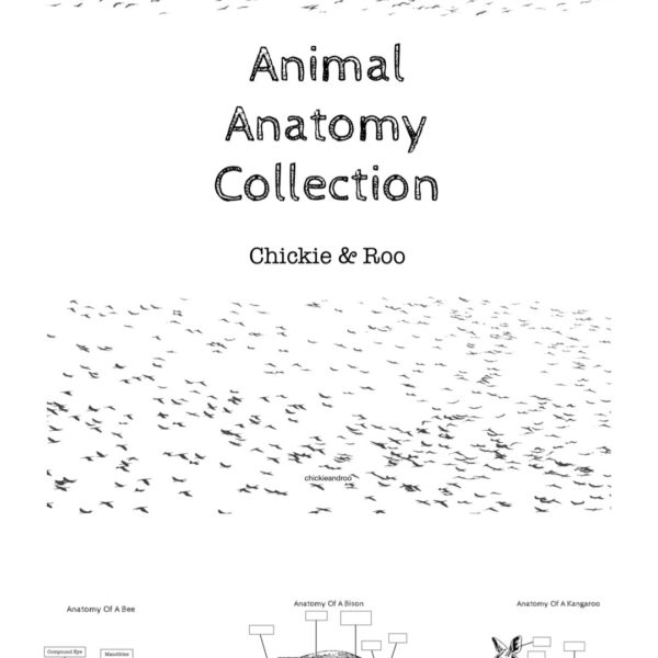 Animal Anatomy Coloring Collection