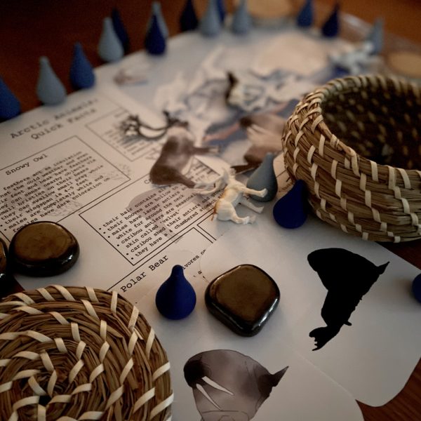 Prep Pack: Arctic Tundra - Image 2