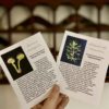 Carnivorous & Insectivorous Plants