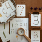 Kinder Nature Beginnings Bundle: FULL Collection - Image 3