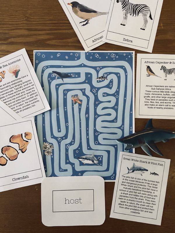 Prep Pack: Animal Relationships