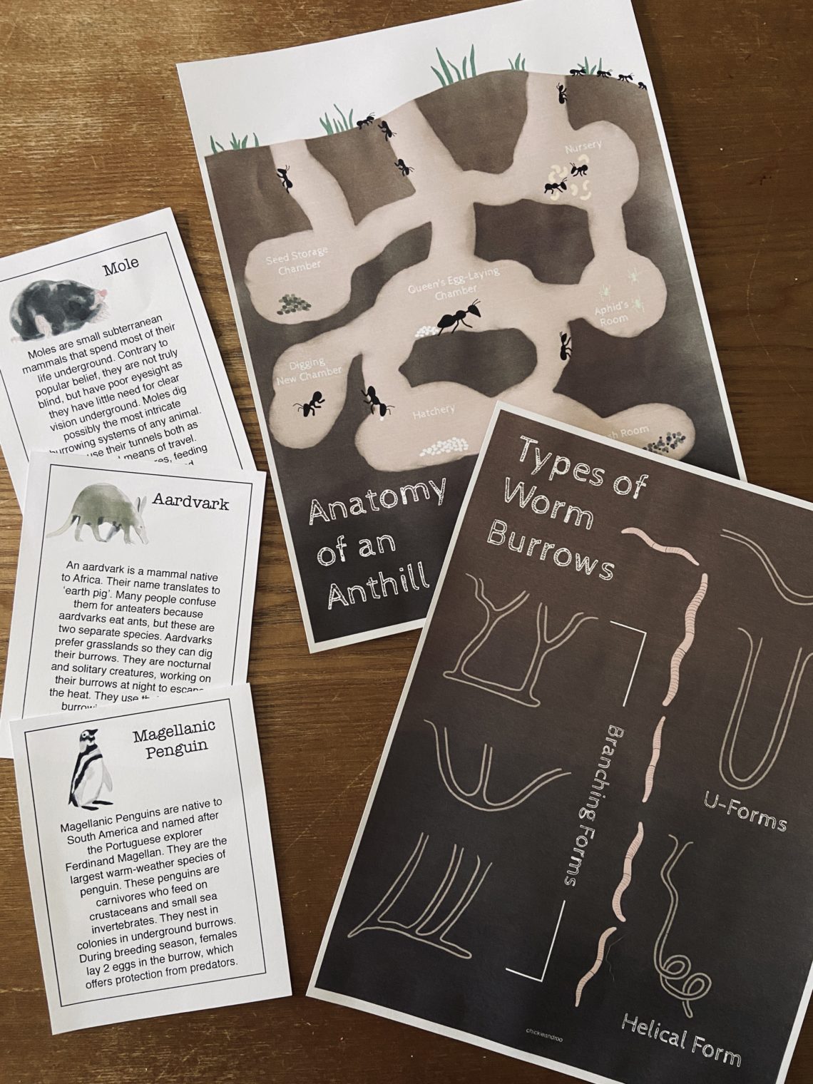 Prep Pack Dirt Chickie & Roo Homeschool