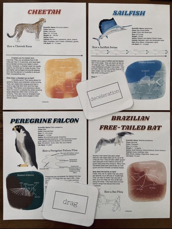 Prep Pack: Nature of Physics