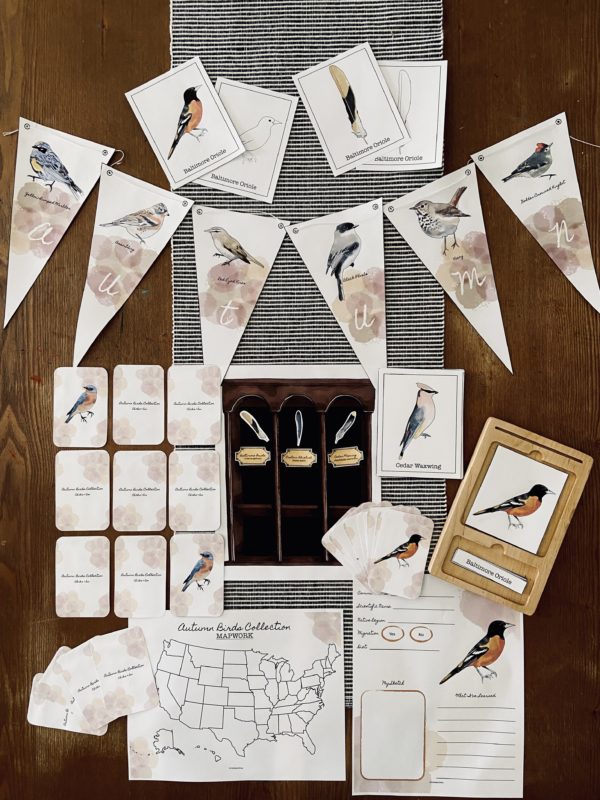Autumn Birds Collection