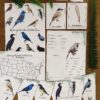 Spring Collection - Image 6