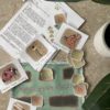 Prep Pack: Garden Unit - Image 2