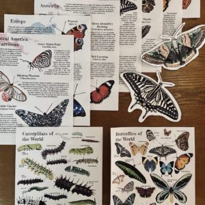 Butterflies of the World-FULL GUIDE