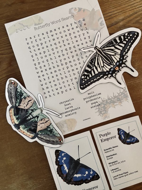 Butterflies of the World-FULL GUIDE - Image 3
