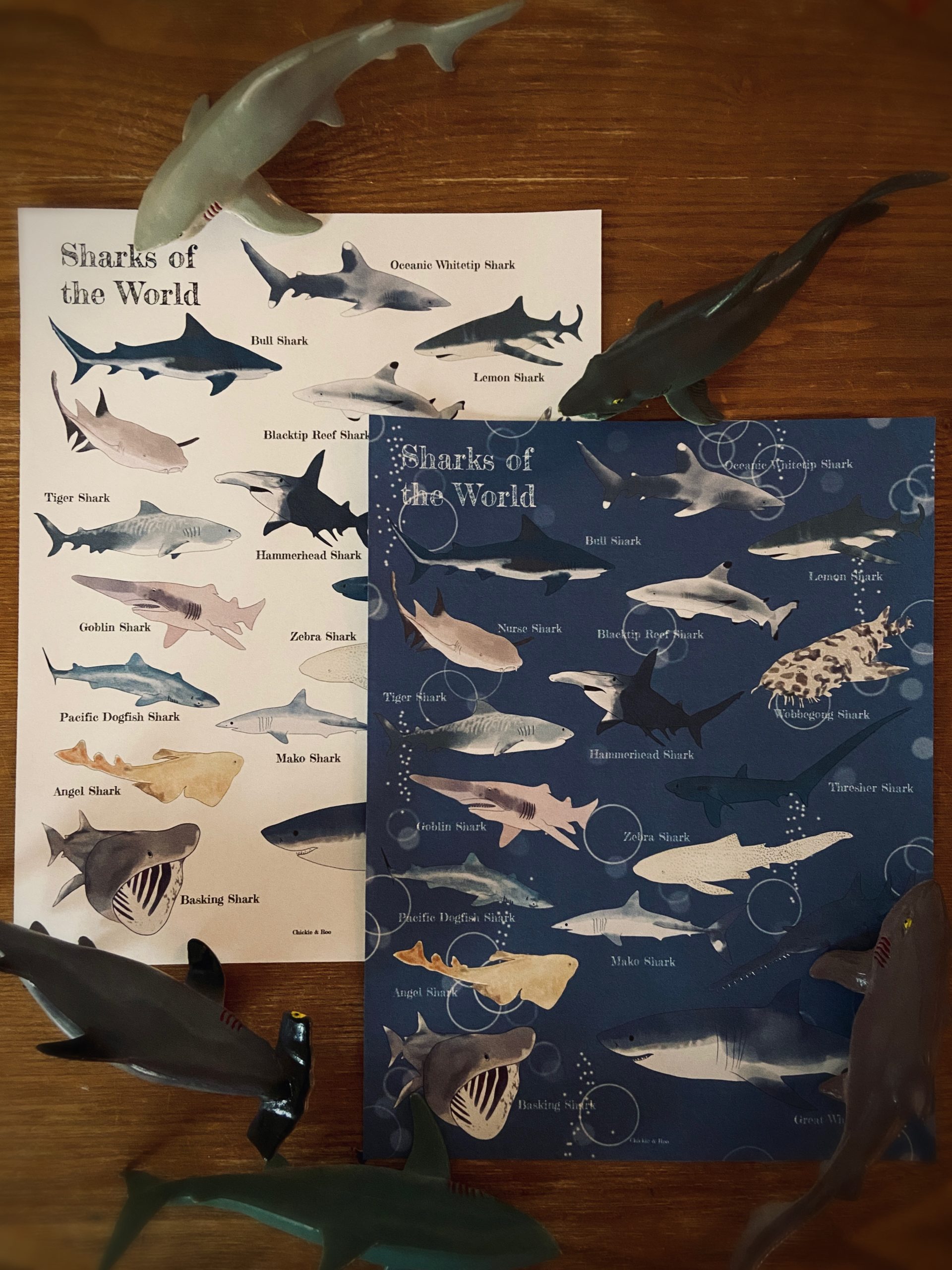 New & Revised Sharks: Celebrate Shark Week with the Ocean's Apex Predators!  : r/DnDHomebrew