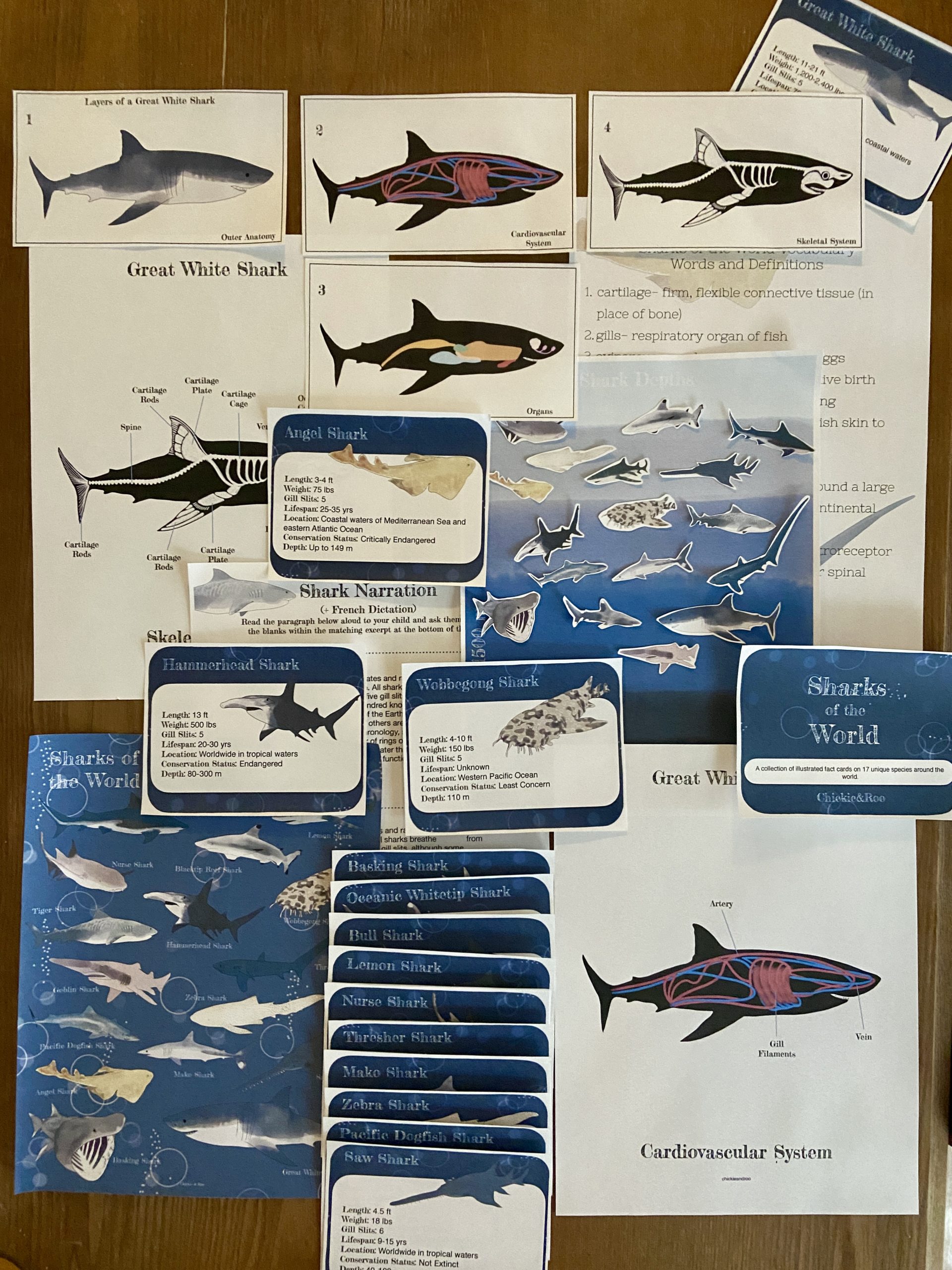 New & Revised Sharks: Celebrate Shark Week with the Ocean's Apex Predators!  : r/DnDHomebrew