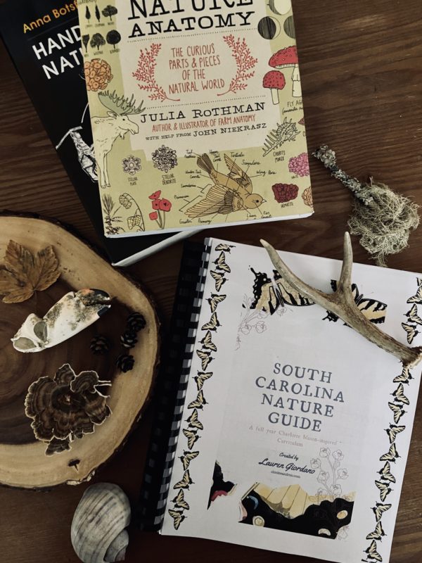 South Carolina Nature Guide