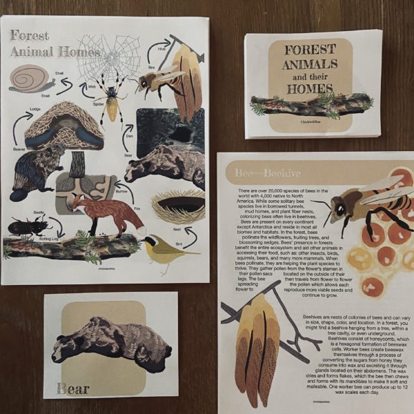 Prep Pack: Forest Animal Homes