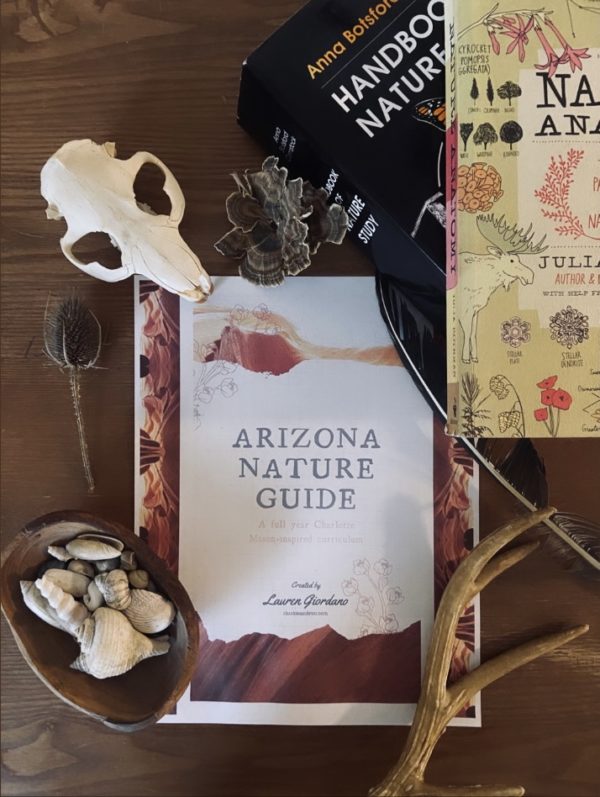 Arizona Nature Guide