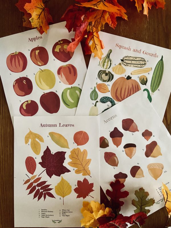 Autumnal Poster Set