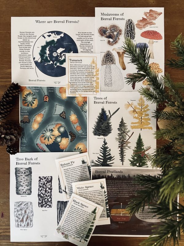 Prep Pack: Boreal Forests