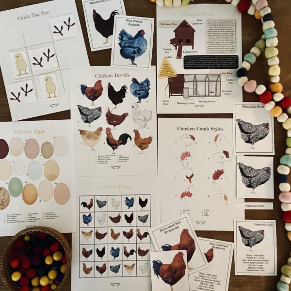 Prep Pack: Chickens