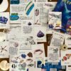 Prep Pack: Coral Reefs