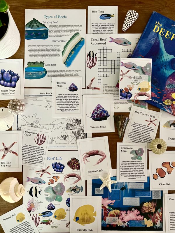 Ocean Collection - Image 4
