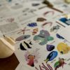Prep Pack: Coral Reefs - Image 5