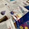 Prep Pack: Coral Reefs - Image 4