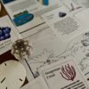 Prep Pack: Coral Reefs - Image 3